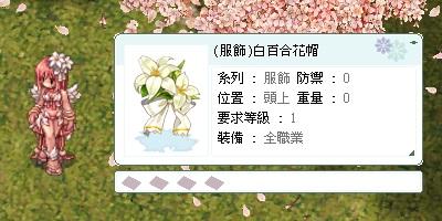 Ro 仙境傳說online道具 服飾 服裝 白百合花帽 8591寶物交易網